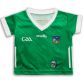 Green Limerick GAA home jersey with Limerick GAA crest by O’Neills