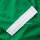 Limerick GAA Women's Fit Home Jersey 2023 Personalised