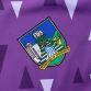 Purple Limerick GAA Short Sleeve Training Top from ONeills.