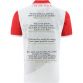 Michael Collins Commemoration Player Fit Jersey Red