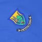 Wicklow GAA Kids' Nevada T-Shirt Royal / Marine / Amber