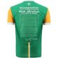 Offaly Player Fit 1916 Remastered Jersey 