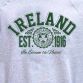 Grey Trad Craft Men's Ireland Est. 1916 Crew Neck Sweatshirt from O'Neill's.
