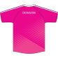 Drumsurn St Matthews Ladies Short Sleeve Training Top Pink
