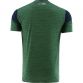 Men's Portland 2 Stripe T-Shirt Green / Marine / Silver