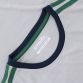 Men's Portland 2 Stripe T-Shirt Silver / Marine / Green