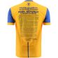 Roscommon Player Fit 1916 Remastered Jersey 