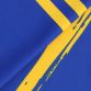 Roscommon GAA Player Fit Home Jersey 2022 Personalised