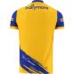 Roscommon GAA 2 Stripe Player Fit Home Jersey 2022
