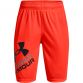 Red Under Armour boys' shorts with UA logo print from O'Neills