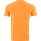 orange men’s crew neck t-shirt with UV protection and a printed design and O’Neills logo on the front.