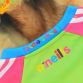 Pink and blue women's Pawsitivity O'Neills Ploughing Jersey with dog detail on the collar.