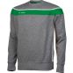 Grey Men's Slaney crew neck sweatshirt with a green panel and white stripes from O'Neills