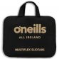 12 pack of the official White All Ireland Match Sliotars from oneills.com