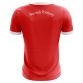 St Pats Palmerstown Short Sleeve Training Top
