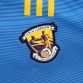 Blue Men's Wexford GAA 2 Stripe Alternative Goalkeeper Jersey 2023 from O'Neill's.