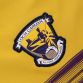 Purple Wexford GAA Home Jersey 2024 Player Fit with Purple knitted collar by O’Neills.