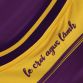 Purple Wexford GAA Baby Home Jersey 2024 with Purple knitted collar by O’Neills.