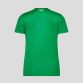 Green Women's Castore Republic of Ireland jersey with Sky sponsor on the front and Éire on the upper back from O'Neills.