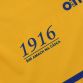 Tipperary Player Fit 1916 Remastered Jersey 