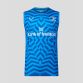 Leinster Rugby Training Vest, with crew neck and graphic front design from O'Neill's.