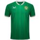 Green Men's Castore Republic of Ireland jersey with Éire on the upper back from O'Neills.