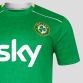 Green Men's Castore Republic of Ireland jersey with Sky sponsor on the front and Éire on the upper back from O'Neills.