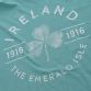 Men's green Trad Craft Emerald Isle T-Shirt from O'Neills.