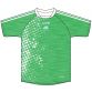 Bective GFC Short Sleeve Training Top (Green)