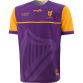 Wexford 1916 Remastered Jersey 