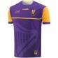 Wexford Player Fit 1916 Remastered Jersey 