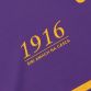 Wexford Player Fit 1916 Remastered Jersey 