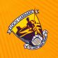 Wexford GAA Hurling Short Sleeve Training Top Orange / Marine