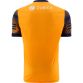 Wexford GAA Training Top with Wexford GAA crest from Oâ€™Neills.