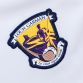 Wexford GAA Player Fit Commemoration Goalkeeper Jersey