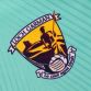 Wexford GAA Hurling Player Fit Short Sleeve Training Top Green / Marine