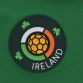 Green Kids' Zico Ireland Soccer T-Shirt from O'Neill's.