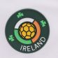 Kids' Zico Ireland T-Shirt and retro Ireland crest and O’Neills branding.