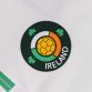 White Men's Zico Brushed Half Zip Top with an retro Ireland crest by O'Neill's.