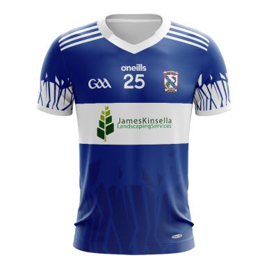 Oylegate Glenbrien Wexford Jersey