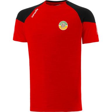 Aidan McAnespie GFC Boston Oslo T-Shirt