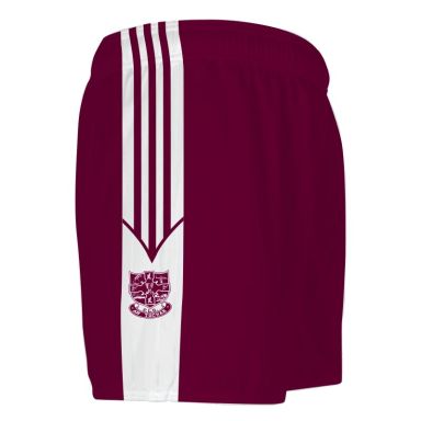 Causeway GAA Mourne Shorts