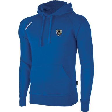 Chicago Wolfetones Arena Hooded Top
