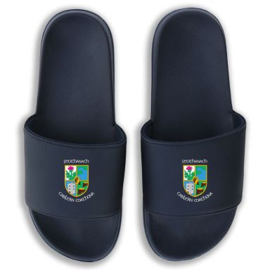 Feohanagh Castlemahon GAA Zora Pool Sliders