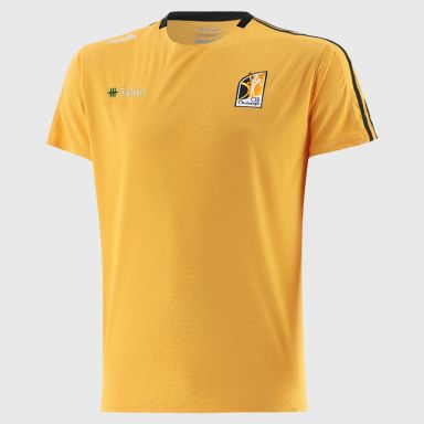 Kilkenny GAA Men's Hydra T-Shirt Amber from O’Neills Sportswear