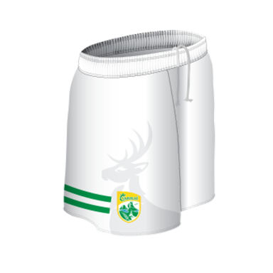 Kerry GFC Boston Kids' Mourne Shorts