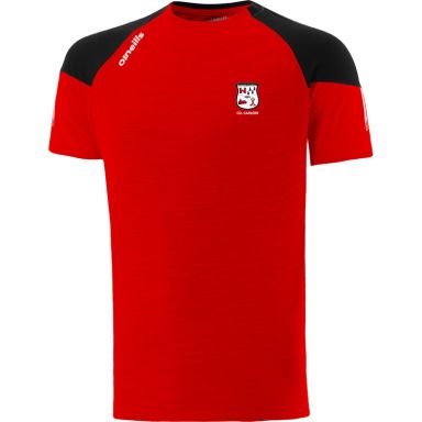 Kildavin Clonegal GAA Oslo T-Shirt