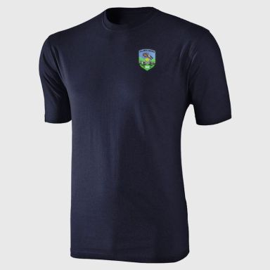 Ferrybank GAA Basic T-Shirt (Kids)