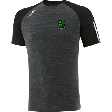 Le Chéile Camogie Club Toronto Women's Oslo T-Shirt