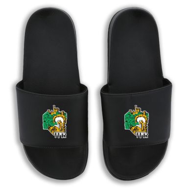 Lismore GAA and Camogie Club Zora Pool Sliders